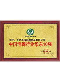 中國泡綿行業(yè)華東10強(qiáng)